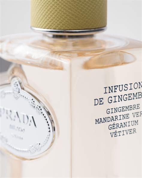 Prada Infusion De Gingembre Edp 100 Ml